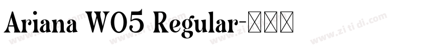 Ariana W05 Regular字体转换